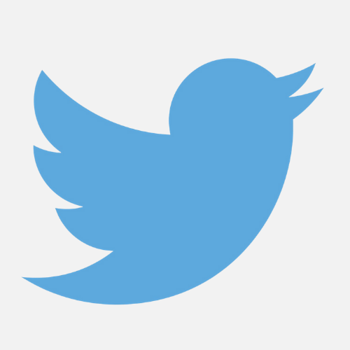 Blue bird logo of twitter